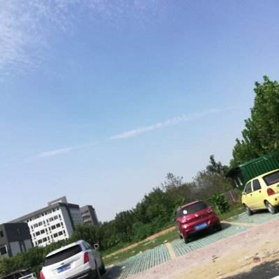萌兔灰灰手游官方下载